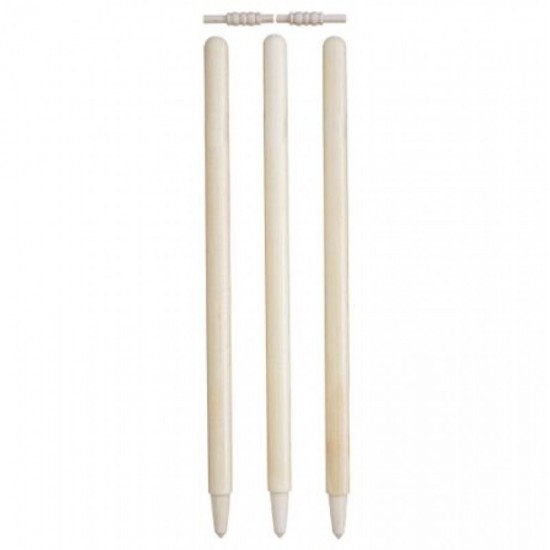 Cricket Accessories